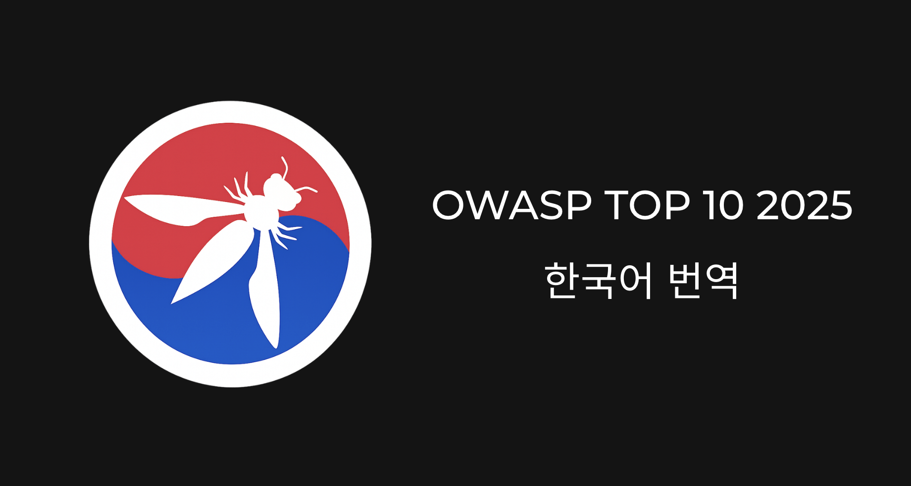 OWASP Top 10 2025 Translation